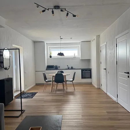 The Modern Center Flat - Steps To Shopping And Smiltyne Ferry * Klaipėda